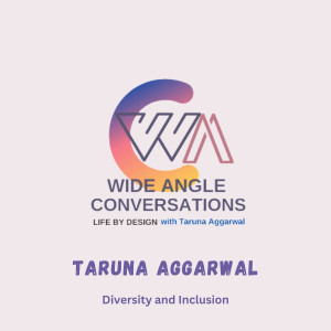 Wide Angle Conversations: DEI Talks