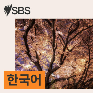 Rumours, Racism and the Referendum - SBS Examines: 가짜 뉴스, 인종 차별, 그리고 국민투표