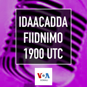 Idaacadda Fiidnimo - Oktoobar 14, 2024