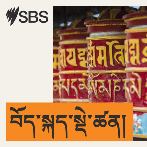 SBS Tibetan - SBS བོད་སྐད་སྡེ་ཚན།