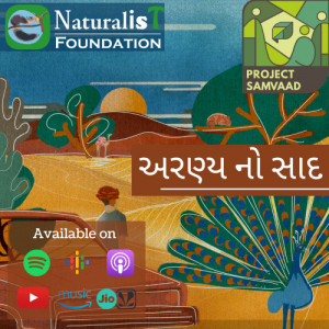 NaturalisT Foundation