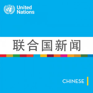 United Nations Chinese